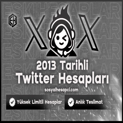 2013 Tarihli Twitter Hesapları