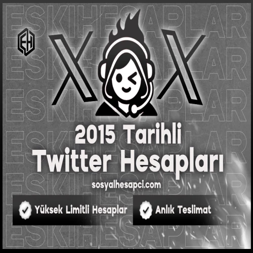 2015 Tarihli Twitter Hesapları