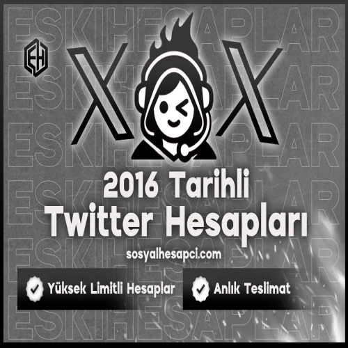 2016 Tarihli Twitter Hesapları