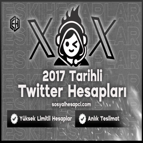 2017 Tarihli Twitter Hesapları